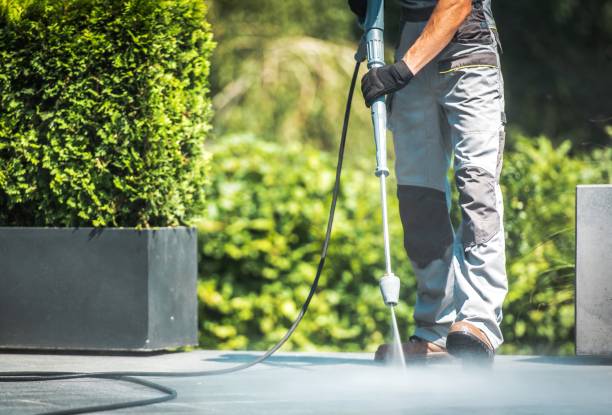 Best Sidewalk and Walkway Cleaning  in Ashland, IL